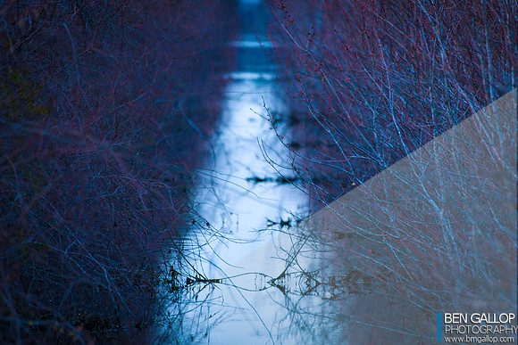 Creepy Canal