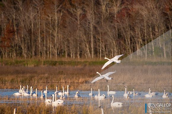 Soft Landing