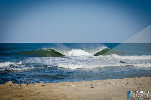 Green Room Dreaming