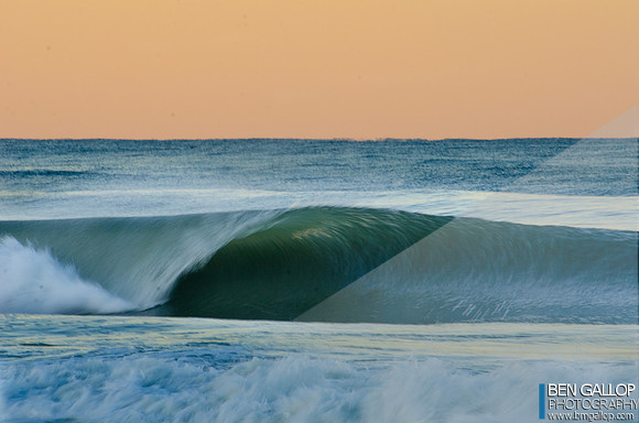 Dreams in Motion
